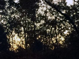Dawn light